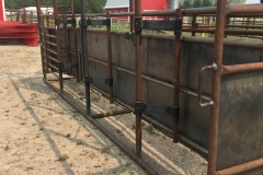 Cattle-squeeze-1